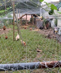 First Saturday Lime for Insects 20lb 40 91ebKA8y1HL