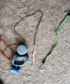 WIGZI (2 Two Dog Reflective Retractable Pet Leash – 360 Degree Zero Tangle Patent - Two Dogs Each up to 50 lbs and 10ft. Reflective Orange and Green Leads. Dual Locking, Small, Gray 37 91efpQxAEGL