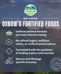 Oxbow Essentials Adult Rat Food - All Natural Adult Rat Food - Veterinarian Recommended- Made in the USA- Rich in Natural Vitamins & Minerals- No Artificial Ingredients- 3 lb. 3 Pound (Pack of 1) 20 91emJw9fcfL