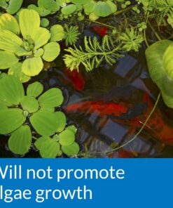 API POND pH DOWN Pond Water pH Reducing Solution 16-Ounce Bottle, White, Model:170B 9 91esIi9X4bL