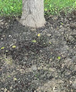 Scotts EZ Seed Patch and Repair Sun and Shade for Grass: Covers up to 225 sq. ft., 10 lb. 10 lb. 1 Pack 57 91ewu0E3WzL