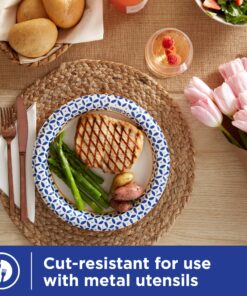 Dixie Ultra Disposable Paper Plates, 10-1/16 in. Dinner Size, Printed, 176 Count Multicolor 15 91fI9RWxtkL