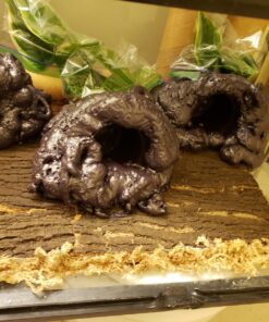 Great Stuff 283064 12OZ GS Pond&Stone Foam Sealant, Each, Black Pond & Stone 46 91fKNUevCYL