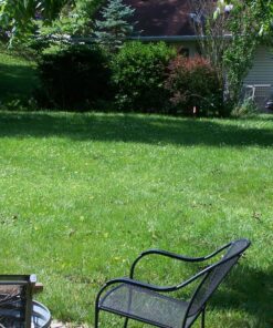 American Classic Multi Pump Pneumatic Pellet Air Pistol 0.22CAL Black 39 91fQebPGlLL