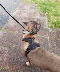 rabbitgoo Dog Harness, No-Pull Pet Harness with 2 Leash Clips, Adjustable Soft Padded Dog Vest, Reflective No-Choke Pet Oxford Vest with Easy Control Handle for Large Dogs, Black, XL X-Large 55 91fUt9LVC6L