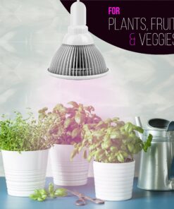 Indoor LED Grow Light Bulbs w/ Clamp Reflector (12W) Efficient Greenhouse Red & Blue Hydroponics Lighting | Produce Healthier Plants, Herbs, Flowers 28 91fUwo5i2PL 1