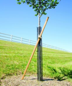 A.M. Leonard Rigid Plastic Mesh Tree Bark Protector, 36 Inches Tall (Pack of 5) 11 91fcgSt6nVL