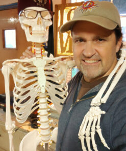 Giantex B010L18XEW Life Size 70.8" Human Anatomical Anatomy Skeleton Medical Model + Stand 55 91fn2dc7vBL