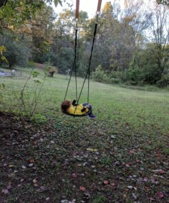 Sorbus Saucer Tree Swing - Kids Outdoor Disc Round Swing - 24" Heavy Duty 220lbs Seat - Easy Install Flying Saucer Web Circle Swing - Perfect for Gift, Playground, Backyard, Indoor/Outdoor Tire Swing Mat Seat 24 Inch 29 91frmtdmtAL