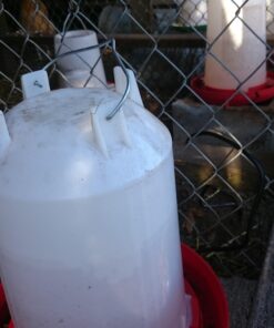 Rite Farm Products 3.7 Gallon Heated Poultry Chicken Waterer (14 Liter) Drinker with LED 11 91fsi9y7CeL