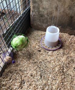 Ware Manufacturing Chick-N-Veggie Treat Ball 22 91g79r0hZhL