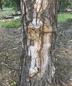 Camlockbox Box Security Box Compatible with Browning Sub Micro Strike Force Game Trail Camera 21 91g8MyZAHtL