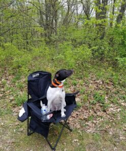 Petrainer Training Collar for Dogs - Waterproof Rechargeable Dog Training E-Collar with 3 Safe Correction Remote Training Modes, Static, Vibration, Beep for Dogs Small, Medium, Large 36 91gC8Z4ZspL