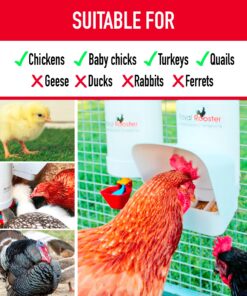 Alternative view of Royal Rooster Chicken Feeder and Waterer Set - Includes 1 Gallon Waterer with 2 Cups and 7lb Feeder for Chickens - Chicken Coop Accessories with Hanging Chicken Poultry Feeder and Chicken Waterer Kit 2-Cup Waterer