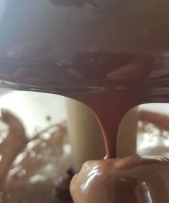 Wilton Chocolate Pro Fountain Fondue Chocolate - Chocolate For Fountain 2LB 0 26 91gNXaEtZmL
