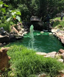 API POND SALT Pond Water Salt 4.4-Pound Container (156C) 1 15 91gObDXdthL