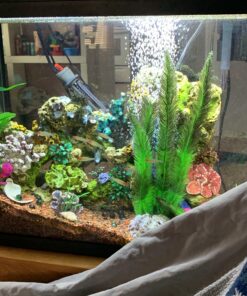 AquaClear 50 Power Filter, Fish Tank Filter for 20- to 50-Gallon Aquariums (Packaging may vary) 20 to 50 Gallons - 50 44 91gQYBOJe8L