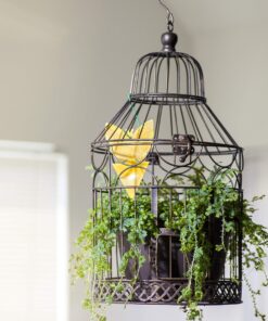 Trappify Sticky Gnat Traps for House Indoor - Yellow Fruit Fly Traps for Indoors/Outdoor Plant - Insect Catcher White Flies, Mosquitos, Fungus Gnat Trap, Flying Insects - Disposable Glue Trapper (12) 12 35 91gWbmvKU6L 1