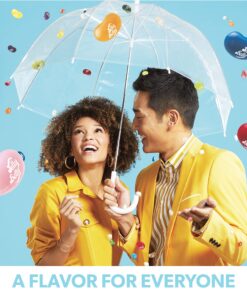 Jelly Belly BeanBoozled Naughty or Nice Spinner Jelly Bean Gift Box, 3.5 Ounce 3.5 Ounce (Pack of 1) 9 91gaXtep80L