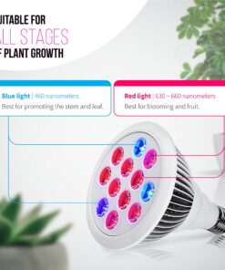 Alternative view of Indoor LED Grow Light Bulbs w/ Clamp Reflector (12W) Efficient Greenhouse Red & Blue Hydroponics Lighting | Produce Healthier Plants, Herbs, Flowers