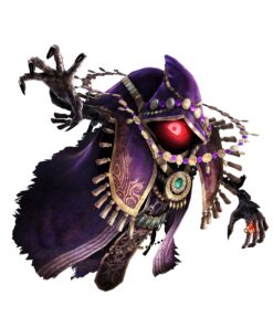 Hyrule Warriors - Nintendo Wii U Standard 27 91genNqvhPL