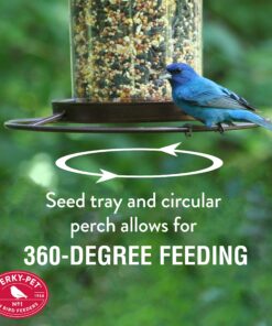 Perky-Pet 312-1SR Outdoor Panorama Wild Bird Feeder - 2 Lb Seed Capacity Brown 27 91gfuRD5PxL