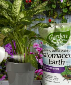 Garden Safe Insect Killer, 1-count 1 Pack 19 91gilqllhHL