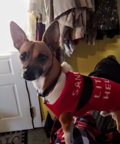 Advantage II Medium Dog Vet-Recommended Flea Treatment & Prevention | Dogs 11-20 lbs. | 6-Month Supply 6-Pack 31 91grsuTgeCL