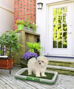 Artificial Grass Pee Pad Set for Dogs - Reusable Puppy Essential for Potty Training Small Pets Indoors and Outdoors by PETMAKER (Green) Potty Trainer 9 91gvnsqLhyL