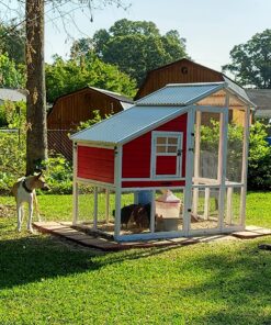 RentACoop 2 Gallon Chicken BPA-Free Plastic Bucket Waterer Set with 4 Horizontal Nipples - Corner Placement 34 91h2dL0F4dL