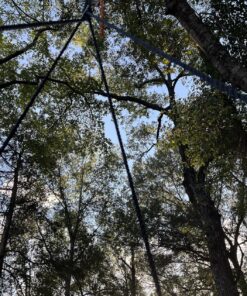 HYCLAT Saucer Tree Swing - 40”Spider Web Tree Swing Net Swing Platform Rope Round Swing 70" Detachable Nylon Rope Swivel, Max 600 Lbs Capacity, Extra Safe and Durable for Kids 22 91hGv03fpaL