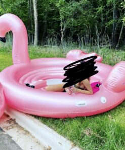 INTEX 66633E QuickFill 12 Volt DC Electric Pump: Inflates and Deflates Air Mattresses, Kayaks, Boats – Includes 3 Interrconnecting Nozzles – Sleek and Compact Design – 650 L/Min Air Flow – Outdoor Use 27 91hMSN0qxqL