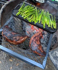 Texsport Heavy Duty Camp Large Grill Black, Extra Large 24 91hPj8VFYBL