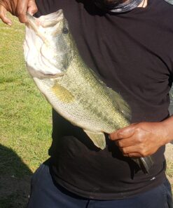 Okuma Voyager Spinning Freshwater Travel Kit, VS-605-20, Blue Fishing Rod Reel Combo 42 91hUkcvaEHL