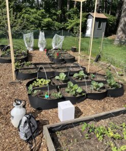 Chapin 20000 Made in USA 1 -Gallon Lawn and Garden Pump Pressured Sprayer, for Spraying Plants, Garden Watering, Weeds and Pests, Polypropylene, Translucent White 1 Gallon Sprayer 32 91ha8bmmmgL