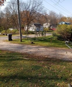 Mammoth Grey Stripe Sunflower Flower Seeds, 50+ Heirloom Seeds Per Packet, (Isla's Garden Seeds), Non GMO Seeds, Botanical Name: Helianthus annuus 28 91hasvyzJPL