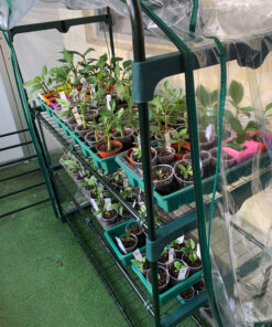 Alternative view of Miracle-Gro 0062581-298 Cactus, Palm, & Citrus Soil - 8 Quart (Older Model)