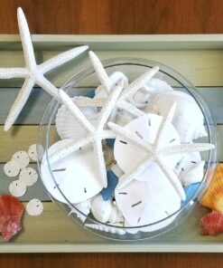 Tumbler Home White Sand Dollars 3"-3.5" - 10pcs - Wedding Seashell Craft Sandollars- Hand Picked and Professionally Packed 28 91hg67JTJsS