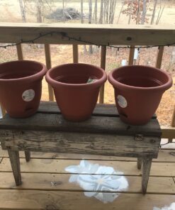 Bloem FBA LP1246 Lucca Planter, 12-Inch, Terra Cotta 12" 11 91hiF8MPoTL