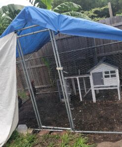 Grizzly Tarps by B-Air 8' x 10' Large Multi-Purpose Waterproof Heavy Duty Poly Tarp with Grommets Every 36", 8x8 Weave, 5 Mil Thick, for Home, Boats, Cars, Camping, Protective Cover, Blue 8' x 10' 44 91hnMmnu8ML