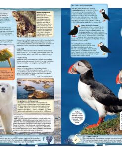 Guinness World Records 2024 Hardcover 24 91hp GbsSiL