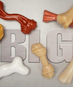 Nylabone Power Chew Knuckle Bone Big Dog Chew Toy Knuckle Chicken XX-Large/Monster (1 Count) XX-Large/Monster (1 Count) Natural 27 91huP9CsgaL