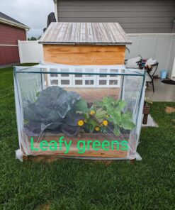 Xtreme Gardening HGC721205 Mykos Pure Mycorrhizal Inoculant Organic Root Enhancer, 2.2 lbs, Black 2.2 lbs. 32 91hzVXaJhiL