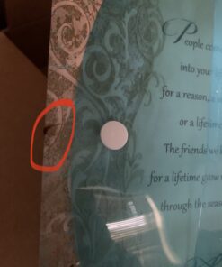 Smiling Wisdom - Friendship - A Reason Season Lifetime Friend Greeting Card and Leaf Necklace - Growing Together - Women BFF Green Card - Silver Leaf Large 5x7 in 22 91i4JMJgzjL