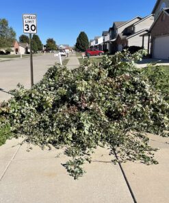 Fiskars 7.9'-12' Extendable Tree Pruning Stik Pruner - Rotating Sharp Precision-Ground Steel Blade for Cutting up to 1.25" Diameter Pruning Stick Extenable 7.9'-12' 43 91i6upVPCAL