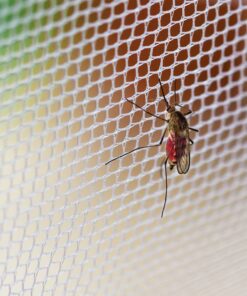 Premium Mosquito Net for Double Bed, crib, hammock or camping by Alpine Grand, Full hanging kit with extra-long strings and 8 hooks, Free Carry Bag 15 91i9pR0jDL