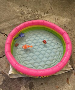 Intex Sunset Glow Baby Pool (34 in x 10 in) 25 91iNX7mb0OL