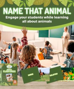 Animal Flash Cards - 50 Educational Flashcards for Children and Adults - Fun Vocabulary Builder Flash Cards for Speech Therapy, ESL, Occupational Therapy, and More Animals 19 91iSV6JbYpL