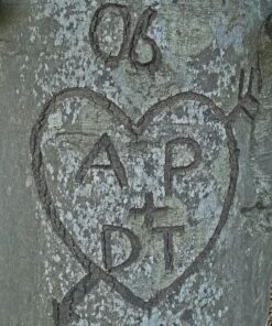 Every Breath 19 91ipJM0mugL