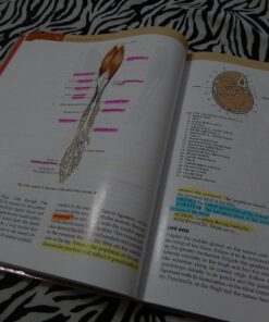 Guide to the Dissection of the Dog 7 91j4JSOQMBL